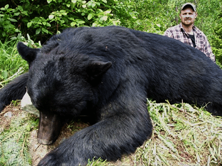 Dead bear in front of a hunter in the forest