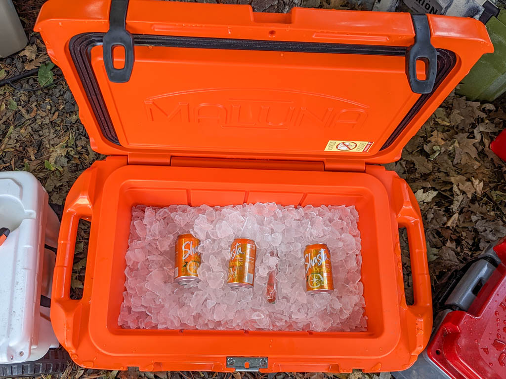Maluna cooler open with ice and a few cans of soda in it
