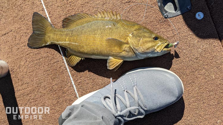 Bass laying on boat deck next to man's foot
