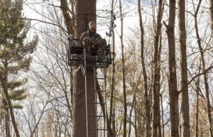 Bowhunter sitting on a ladder tree stand in a big tree