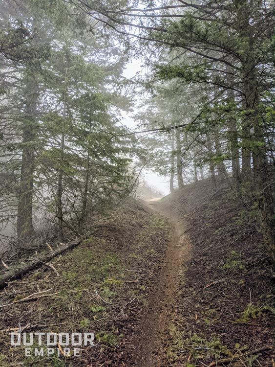 A smooth dirt trail through a forest