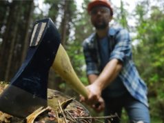 man with an axe chopping a tree in the forest