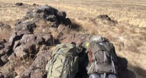 Kelty Coyote vs Kelty Tioga Review