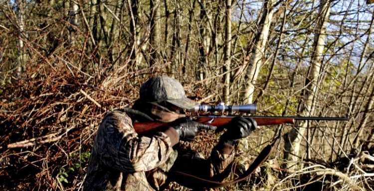 Hunter aiming rifle