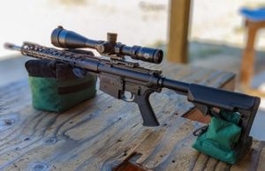 psa ar10 308 at range