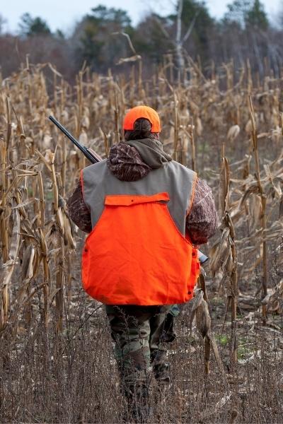back view of hunter wearing orange vest and cap