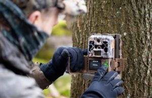 man setting up trail camera