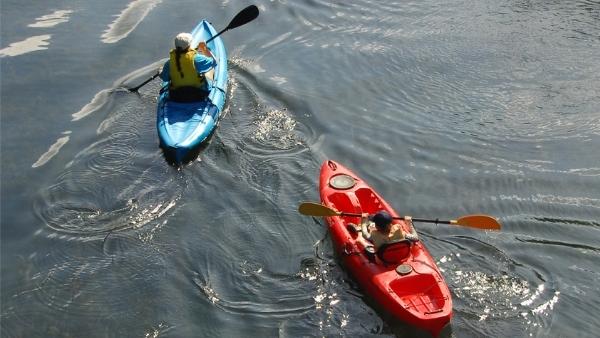 recreational kayakers on calm water