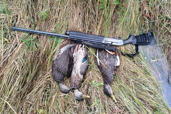 3 hunted ducks and rifle on grass