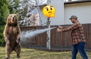 practicing using bear spray