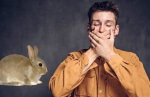 rabbit beside a man covering his mouth