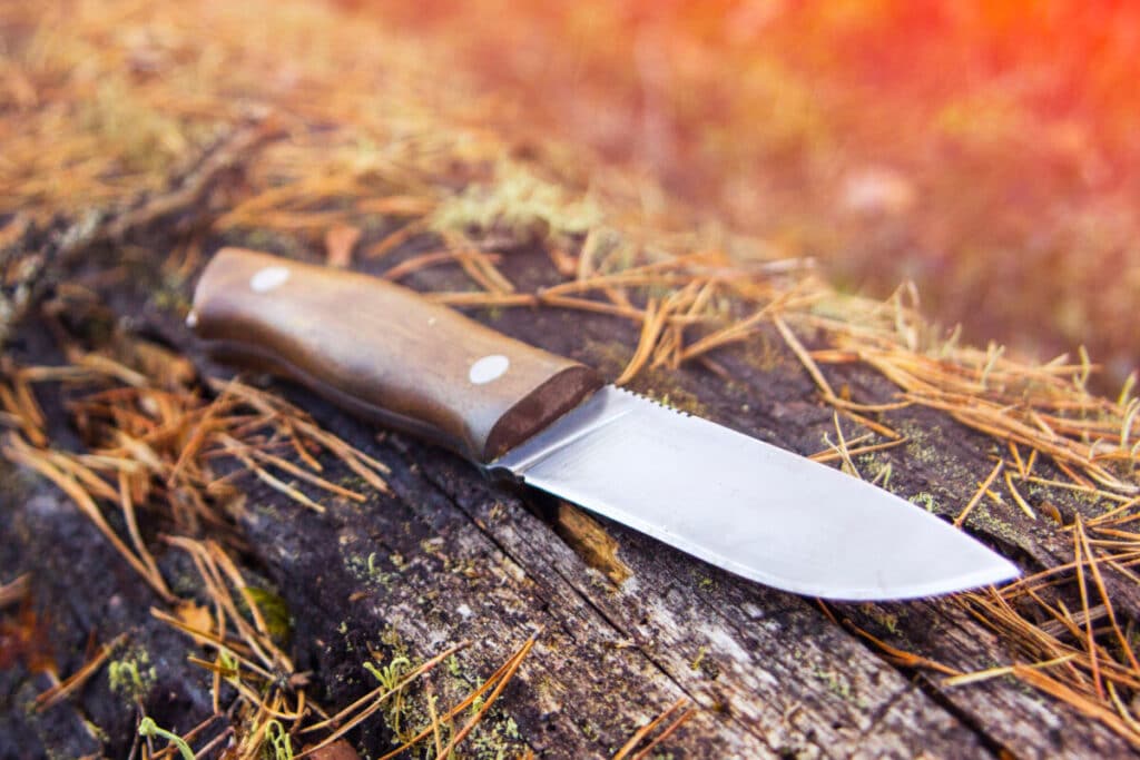 hunting and bushkraft knife on a mossy log
