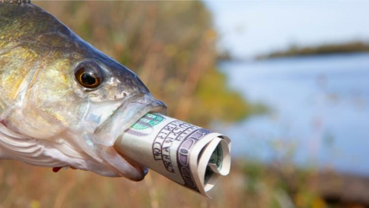 fish with rolled dollar bill in mouth