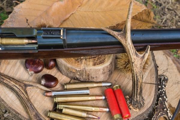 rifle and different cartridges on tree trunk