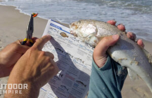 Holding surf fish and pointing at species in booklet