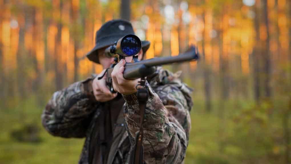 Hunter in the woods aiming rifle