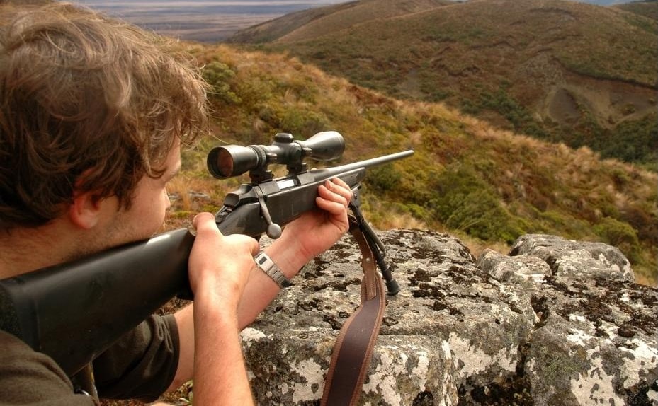 Hunter aiming rifle on bipod