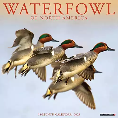 Waterfowl 2023 Wall Calendar