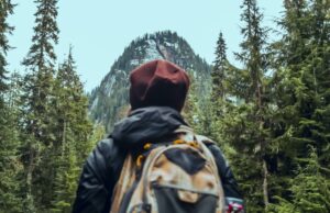 back view of hiker