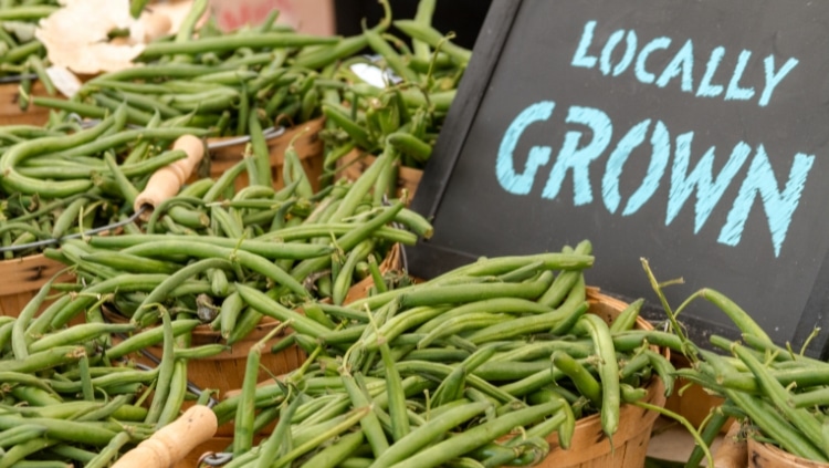 locally grown beans