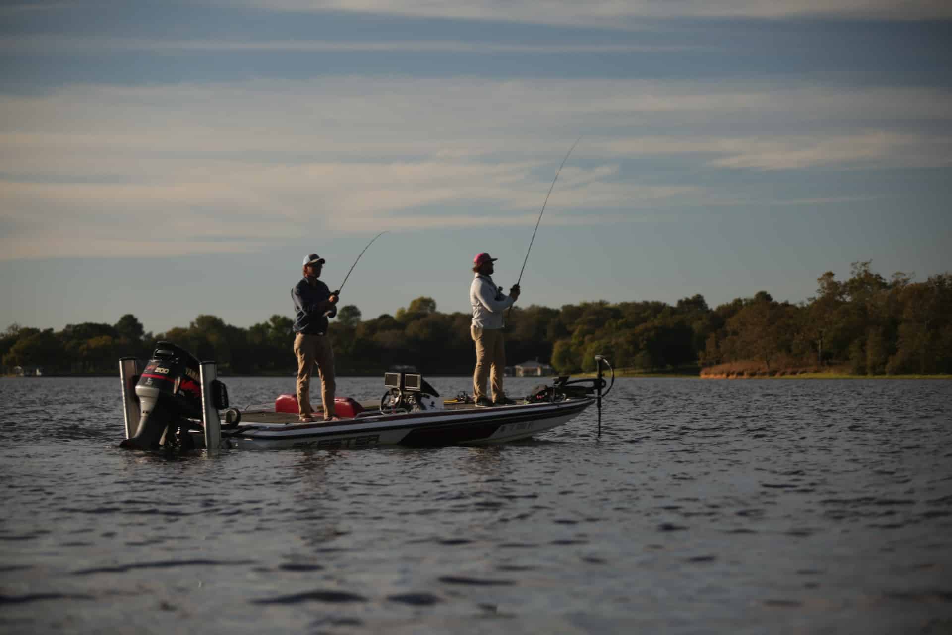 Two men bass fishing from a boat