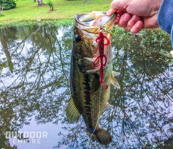 Hand holding caught bass fish with bait still hanging from mouth