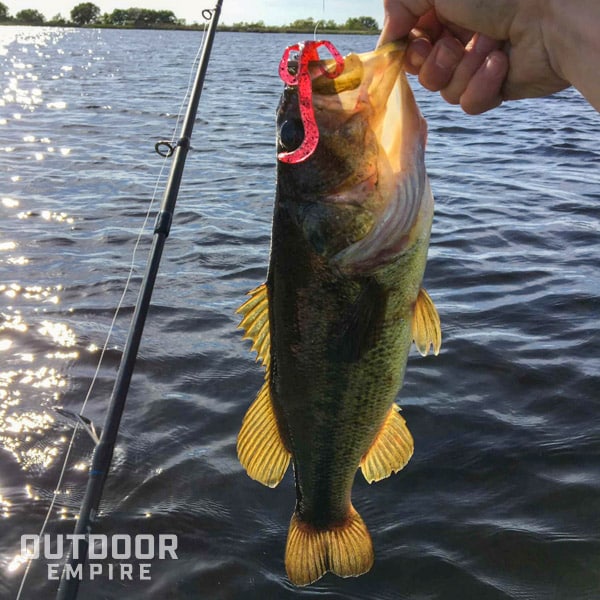 Bass being held by man's hand while still on end of fishing line with bait in mouth