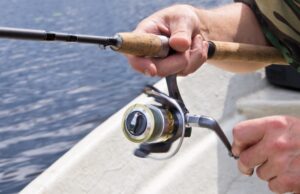 spinning reel in action