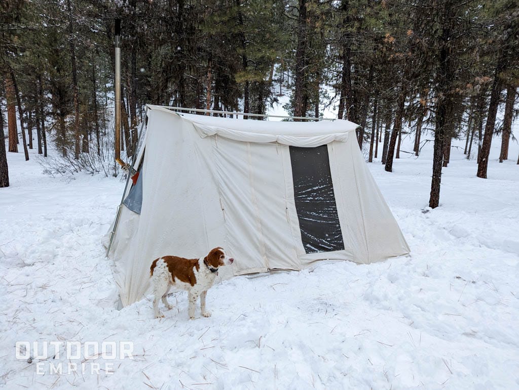 Springbar Classic Jack 140 tent in the snow with a dog standing in front of it