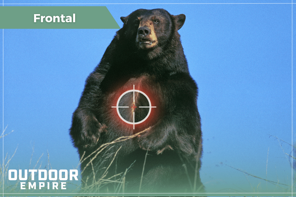 Graphic of a black bear standing up with crosshairs centered on its sternum