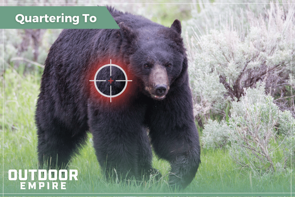 graphic of crosshairs over front shoulder of a black bear walking toward you