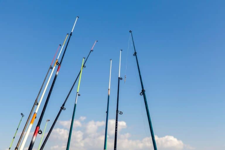 Fishing Rod Size Guide How To Choose Fishing Rod Length