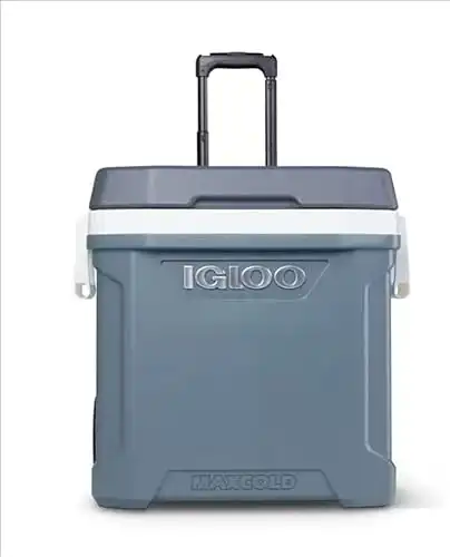 Igloo maxcold latitude 62 roller