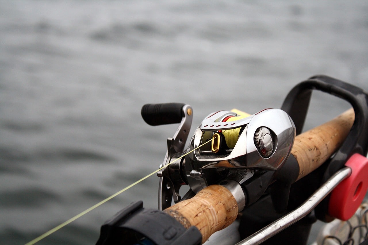 Fishing Reel Sizes Explained! All Reel Types with Charts